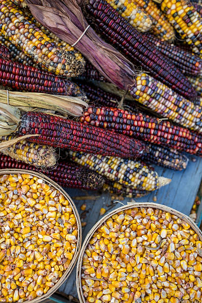 istock Dried Corn in Market Stall 493335160