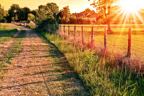 istock Countryside landscape in the sunset 493337604