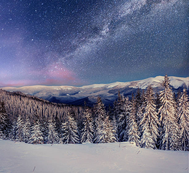 istock Dairy Star Trek in the winter woods 493339150