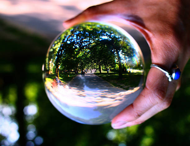 istock Path in Holland Park through a Crystal Ball 493339546