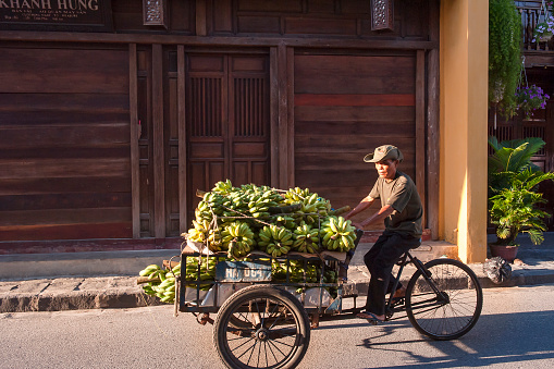 Hoi An, Vietnam - September 6, 2014: A banana seller drives his cart thru the streets of Hoi An on Sep 6, 2014