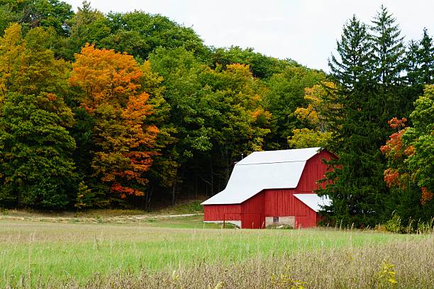 istock Red Michigan Barn in Autumn 493372408
