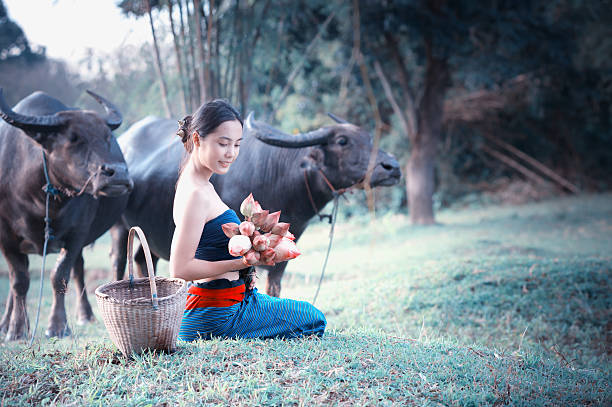 istock thai ancient young women with buffalo on rural 493372512