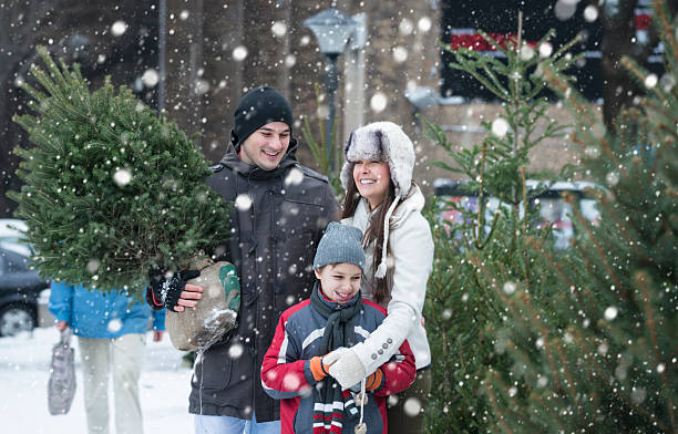 istock Searching for perfect Christmas tree 493372560