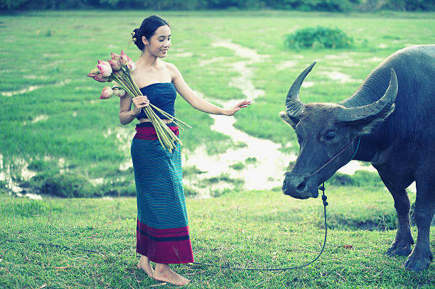 istock thai ancient young women with buffalo on rural 493372720