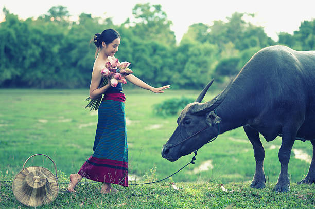 istock thai ancient young women with buffalo on rural 493372936