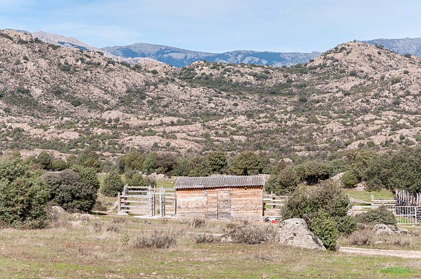 Small wooden hut Small wooden hut at the foot of Guadarrama Mountains, Madrid, Spain juniperus oxycedrus stock pictures, royalty-free photos & images