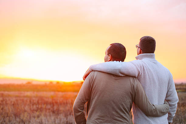istock Young gay couple watching sunset 493373598