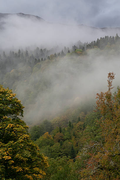 istock Autumn in the Caucasus. 493375262