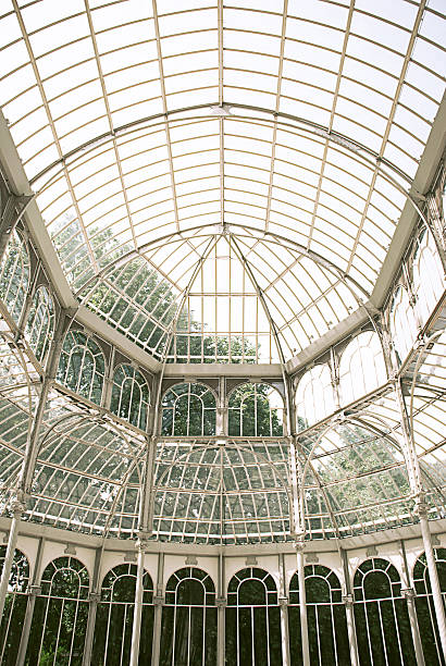 istock In the Palacio de Cristal, Madrid 493375835