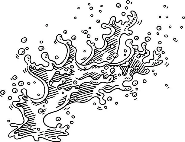 Vector illustration of Water Splash Action Drawing