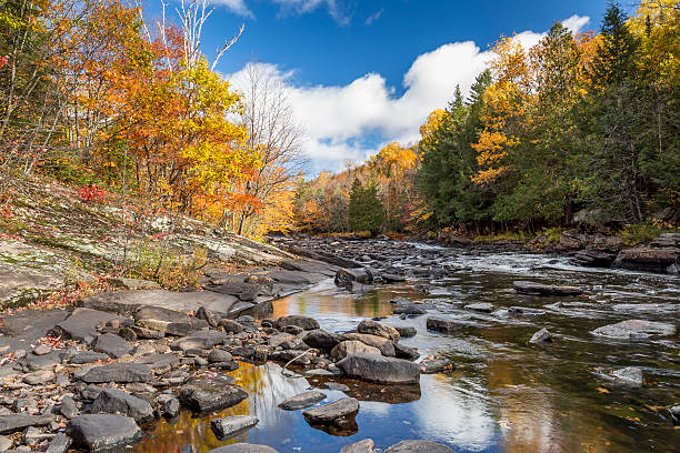 istock Autumn Colors Lining a Rock-strewn River 493376272