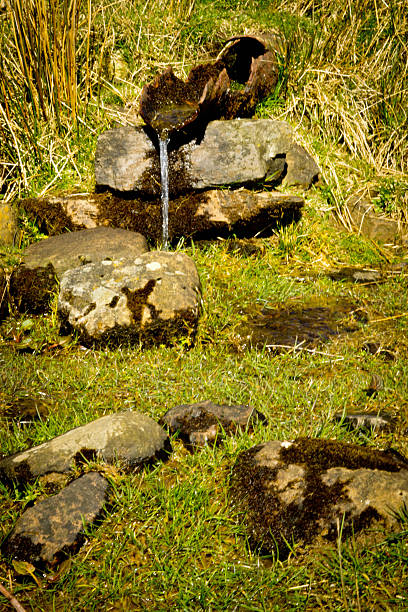 rápidos en cumbria - nibthwaite fotografías e imágenes de stock