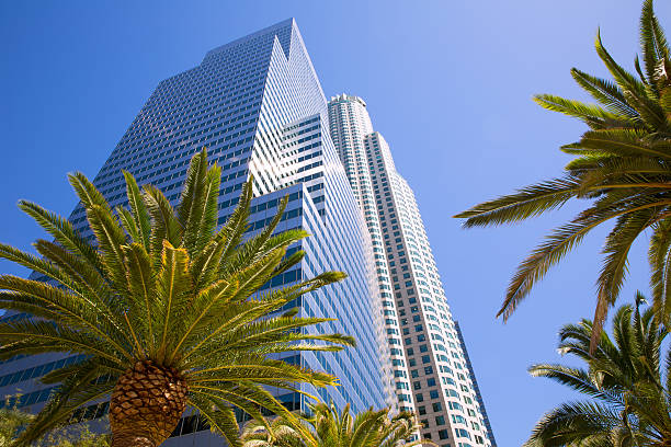 istock Downtown LA Los Angeles skyline California palm trees 493376469