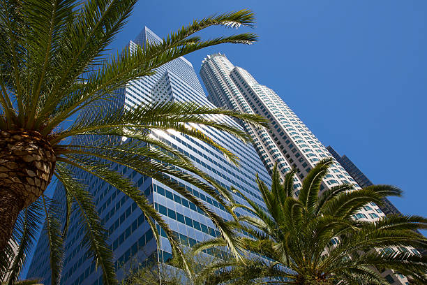 istock Downtown LA Los Angeles skyline California palm trees 493376471
