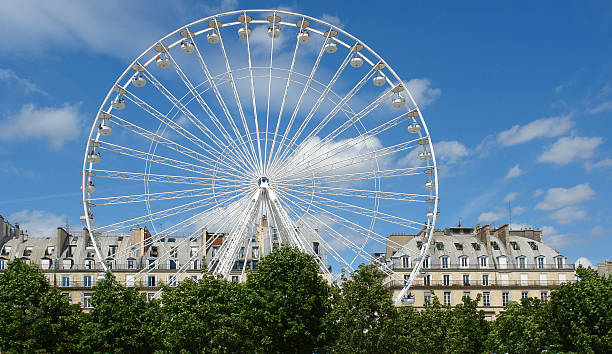 istock Great whell in Tuileries garden 493377100