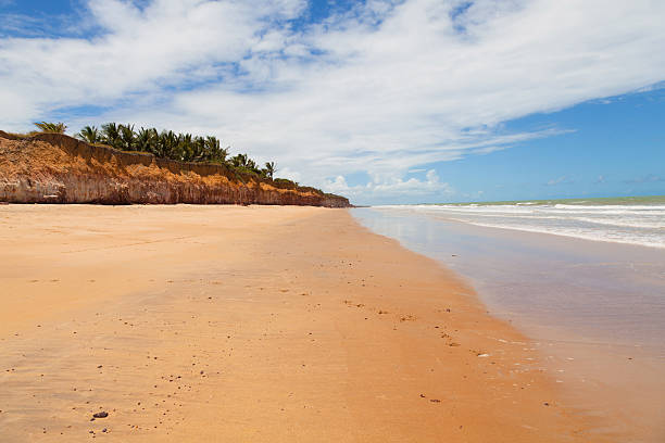 istock Golden coast Costa Dourada in Espirito Santo State Bahia Brazil 493378607