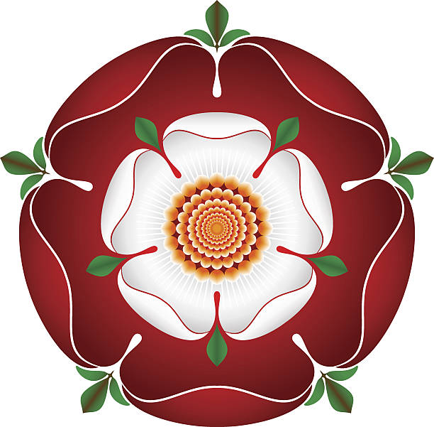 dynastia tudor rose – zacienionym ilustracja wektorowa-angielski znak - tudor style illustrations stock illustrations