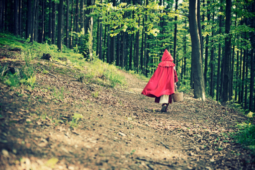 Little Red Riding Hood walking through the forest. Slightly soft.
