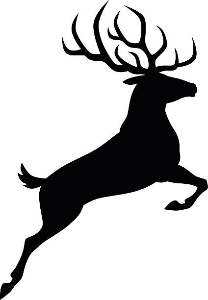 Black deer Black deer on a white background doe deer silhouette stock illustrations