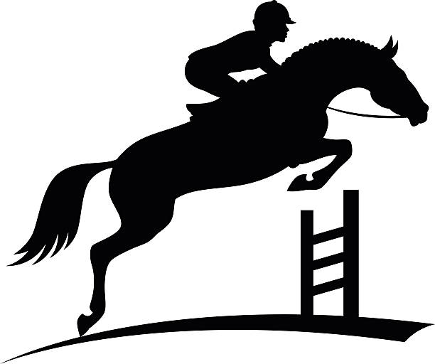 ilustrações de stock, clip art, desenhos animados e ícones de cavalo saltar - hurdling hurdle vector silhouette