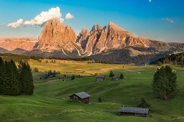 istock Seiser Alm with Langkofel Group, South Tyrol, Italy 493432794