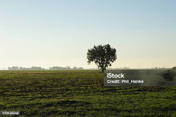 Lone Tree Stock Photo - Download Image Now - 2015, Heat Haze, Horizontal