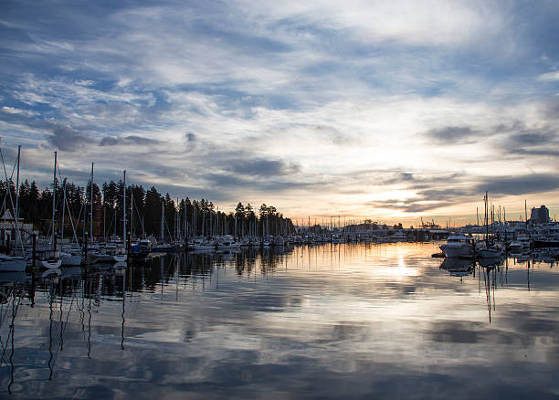 istock Sunrise at the Marina 493438088