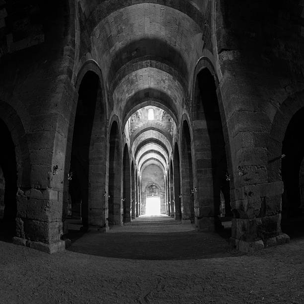 istock Black And White Image Of Sultansaray Indoors 493440826