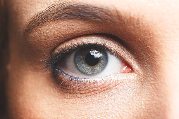 istock Close up of woman eye 493441966