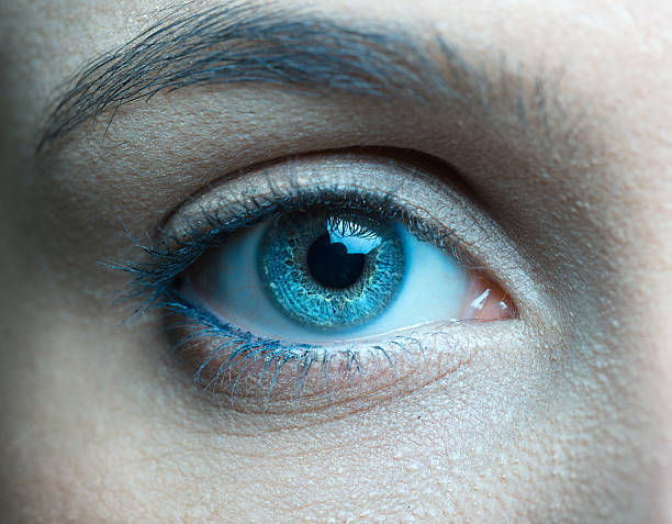 Human blue eye close up Human blue eye close up. blue iris stock pictures, royalty-free photos & images