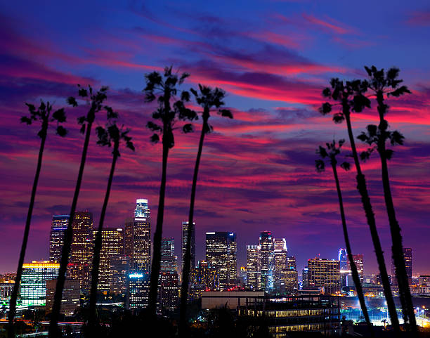 Downtown LA night Los Angeles sunset colorful skyline California. Image is not oversized, Sky and palm trees are a photomount image.