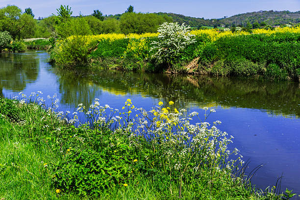 fiume luce solare - vale of evesham foto e immagini stock