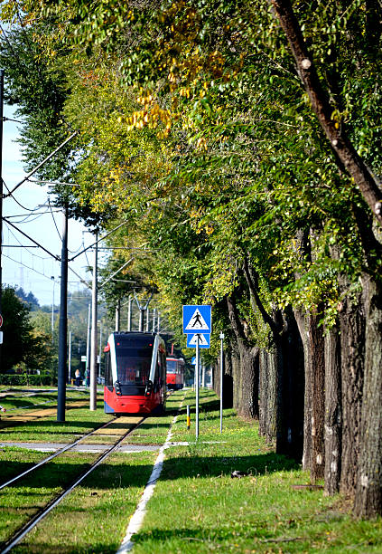 istock red tram beneath the canopy of the avenue 493444572