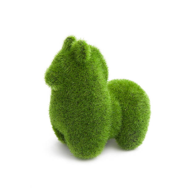 istock Animal shaped hedge on a white background 493444588