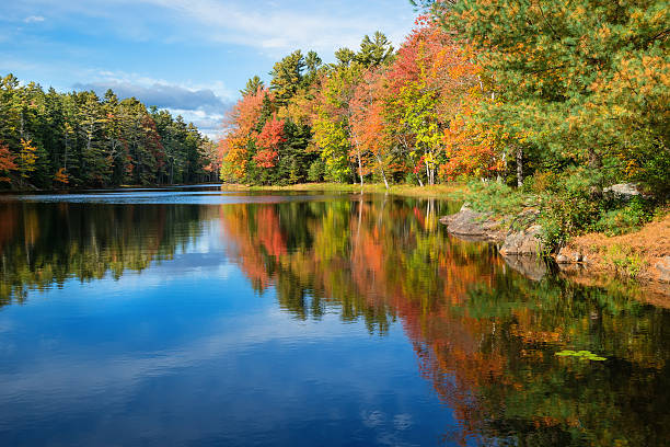 istock Reflections in pond on sunny autumn day in New England 493445350