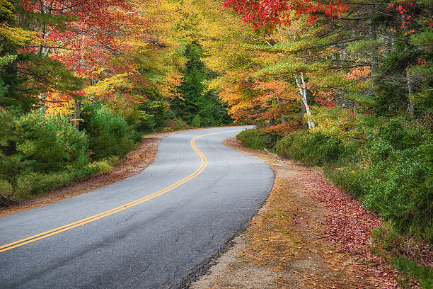 istock Winding road curves through autumn trees in New England 493445436