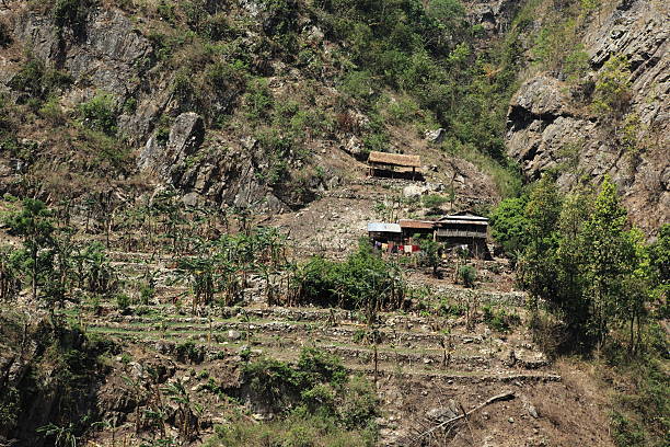 landwirtschaft und reisterrassen no nepal - reisanbau imagens e fotografias de stock