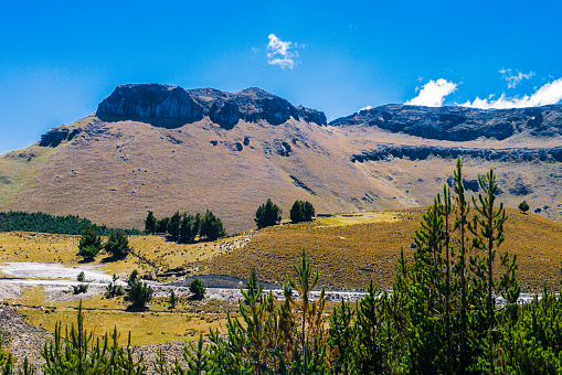 The Andean landscape series: Landscape of the province of Bolivar, Ecuador, near the Chimborazo volcano.