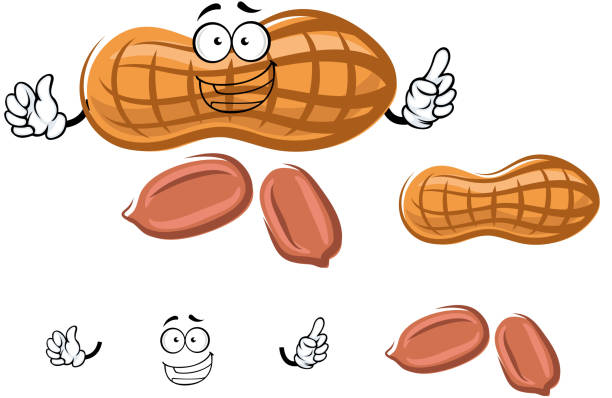 ilustraciones, imágenes clip art, dibujos animados e iconos de stock de dibujos animados maní con kernels en carcasa - nut snack peanut backgrounds