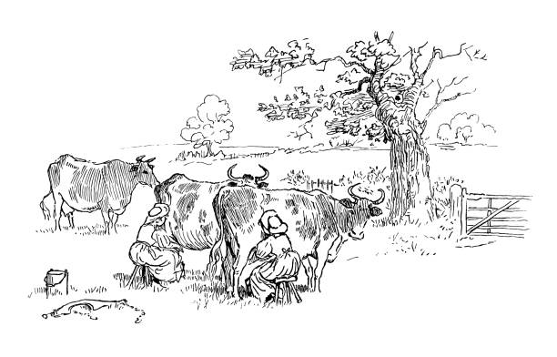 ilustrações, clipart, desenhos animados e ícones de dois milkmaids ordenha de vacas em um campo - randolph caldecott