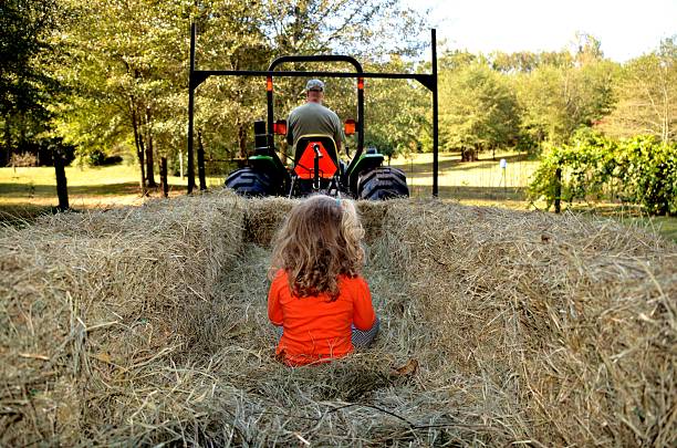 istock Young girl on hay ride 493447358