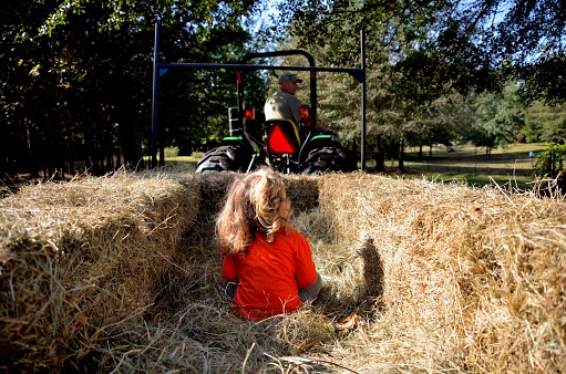 Young girl going for a hayride.  Man driving tractor carrying a trailer with hay bales.