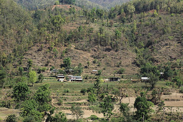 landwirtschaft und reisterrassen no nepal - reisanbau imagens e fotografias de stock