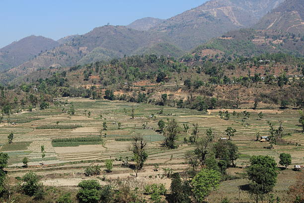 landwirtschaft und reisterrassen no nepal - reisanbau imagens e fotografias de stock