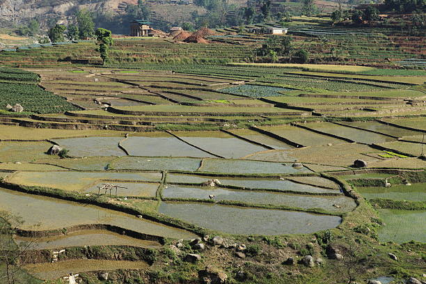 landwirtschaft und reisterrassen no nepal - reisanbau imagens e fotografias de stock