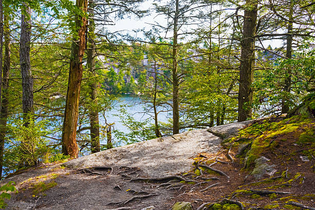 istock Lake Minnewaska Landscape 493448112