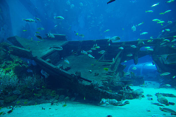 エンジンルームの難破船 - shipwreck ストックフォトと画像