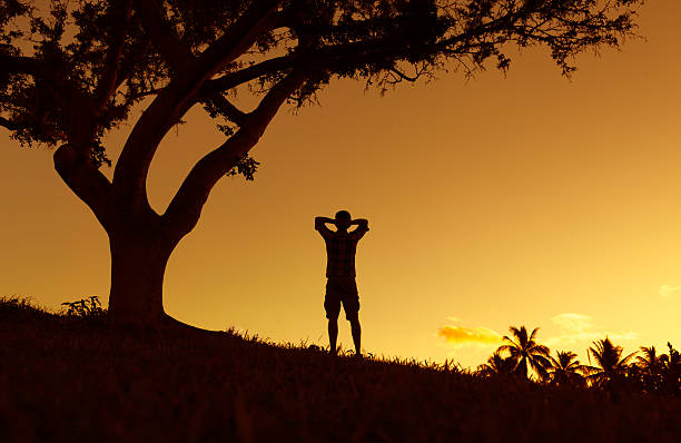 istock Male enjoying the sunset 493448424
