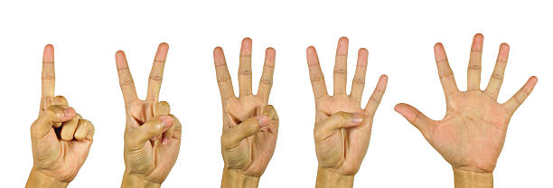istock Hands, fingers and numbers. On a white background. 493448809